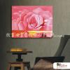 花卉F18 純手繪 油畫 橫幅 粉紅 暖色系 藝術品 裝飾 畫飾 無框畫 民宿 餐廳 裝潢 室內設計