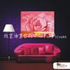 花卉F18 純手繪 油畫 橫幅 粉紅 暖色系 藝術品 裝飾 畫飾 無框畫 民宿 餐廳 裝潢 室內設計