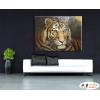 老虎15 純手繪 油畫 橫幅 褐咖 中性色系 動物 大自然 藝術畫 掛畫 生肖 客廳 裝潢 室內設計