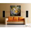老虎18 純手繪 油畫 方形 褐咖 中性色系 動物 大自然 藝術畫 掛畫 生肖 客廳 裝潢 室內設計