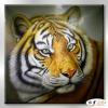 老虎18 純手繪 油畫 方形 褐咖 中性色系 動物 大自然 藝術畫 掛畫 生肖 客廳 裝潢 室內設計